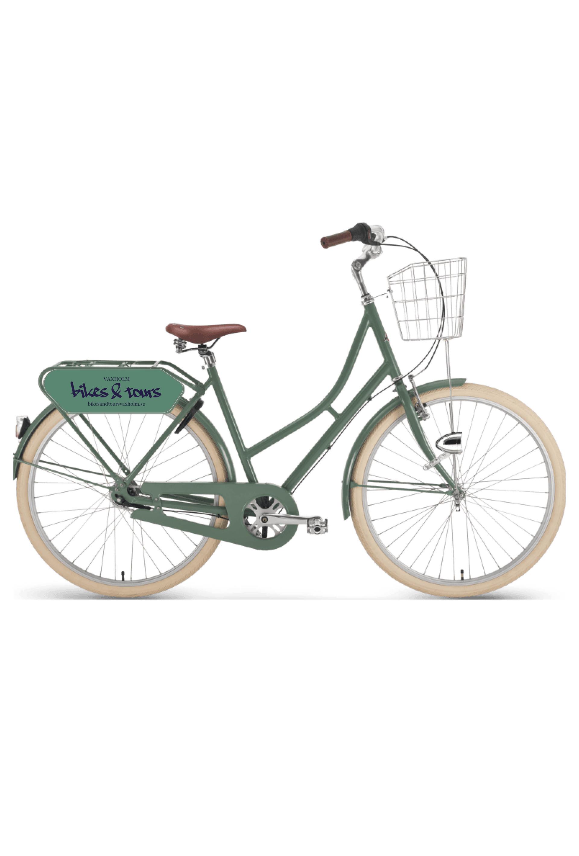 Regular bike